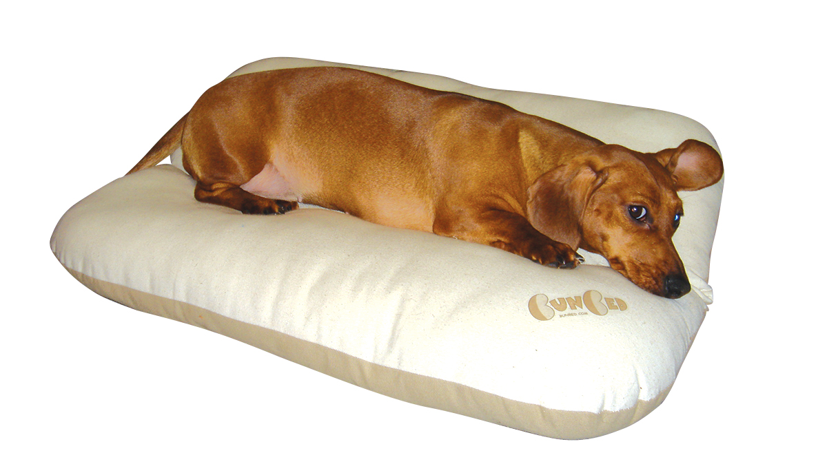 The BunBed for Dachshunds